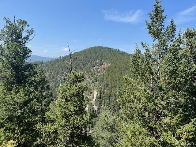 000 Raven Dr, Idaho Springs, CO 80452
