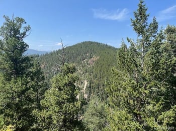 000 Raven Dr, Idaho Springs, CO 80452