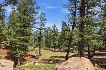 24073 Peak Dr, Conifer, CO 80433
