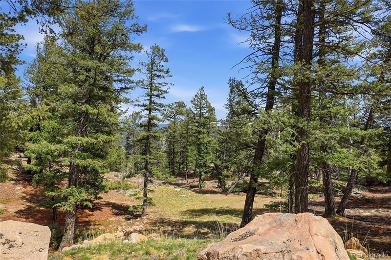24073 Peak Dr, Conifer, CO 80433