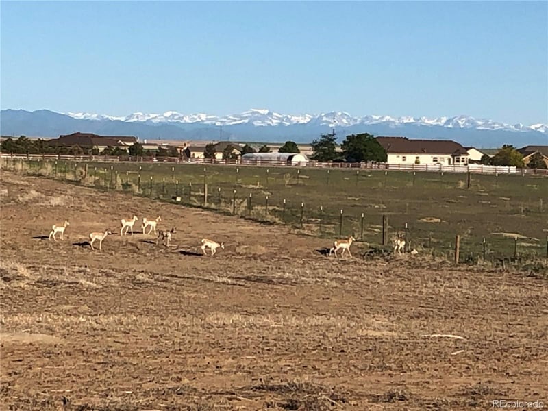 34623 E 10th Dr, Watkins, CO 80137