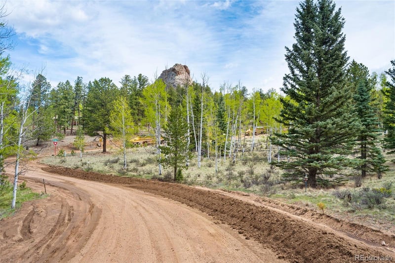 57 Beaver Creek Dr, Lake George, CO 80827