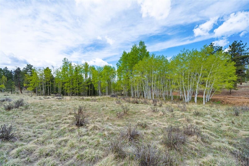 57 Beaver Creek Dr, Lake George, CO 80827