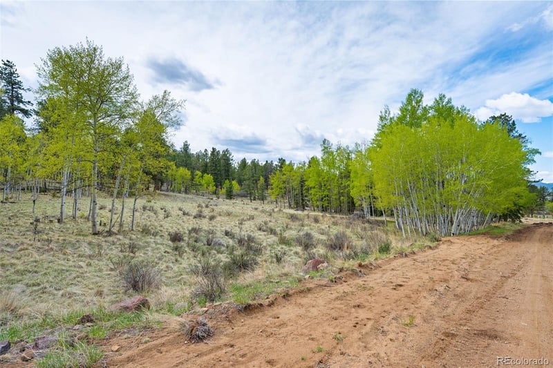 57 Beaver Creek Dr, Lake George, CO 80827