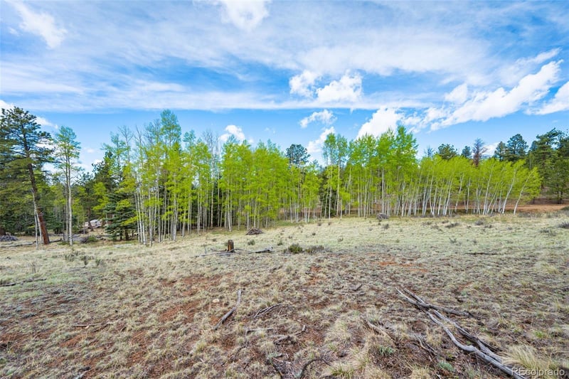 57 Beaver Creek Dr, Lake George, CO 80827