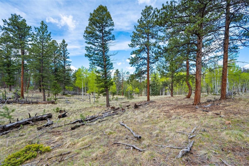 57 Beaver Creek Dr, Lake George, CO 80827