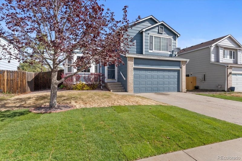 4527 Andover Ave, Castle Rock, CO 80104