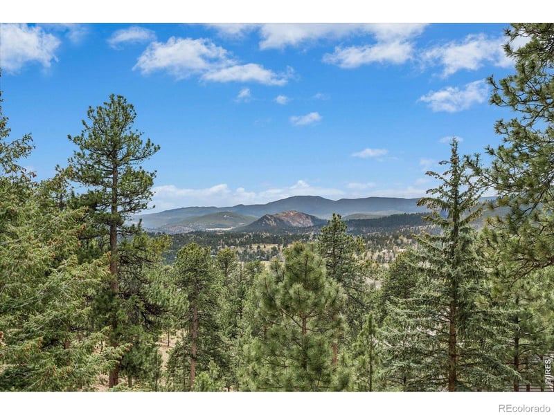 1424 Solitude Ln, Evergreen, CO 80439