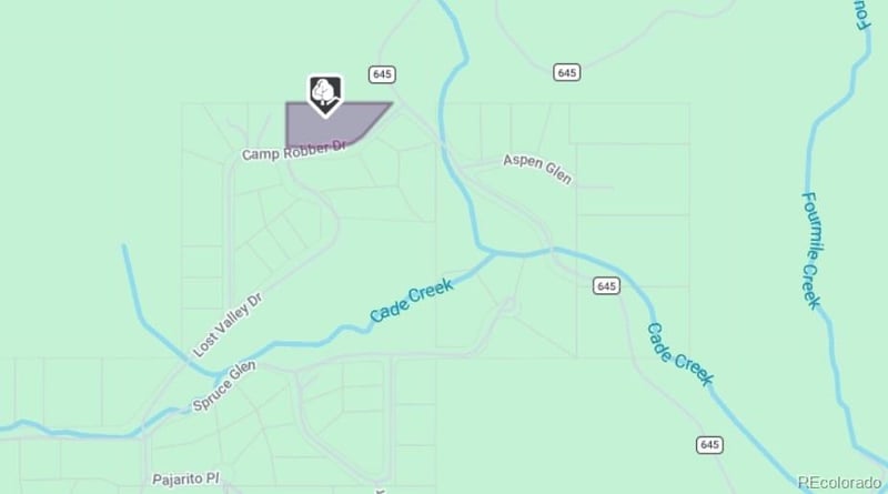 207 Camp Robber Dr, Creede, CO 81130