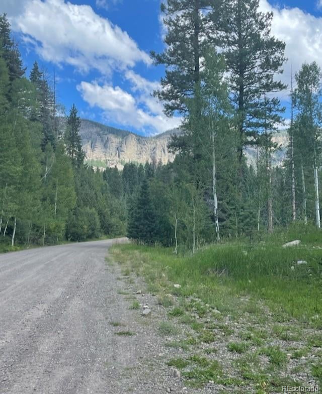 207 Camp Robber Dr, Creede, CO 81130