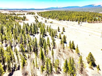 93 Placer Dr, Alma, CO 80420