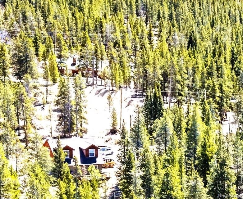 93 Placer Dr, Alma, CO 80420