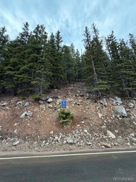 9208 Fall River Rd, Idaho Springs, CO 80452