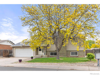 905 Woodbine Dr, Windsor, CO 80550