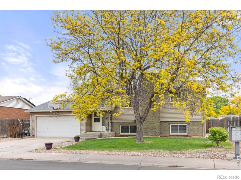 905 Woodbine Dr, Windsor, CO 80550