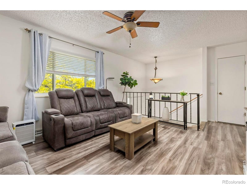 905 Woodbine Dr, Windsor, CO 80550