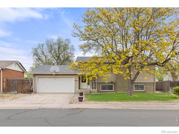 905 Woodbine Dr, Windsor, CO 80550
