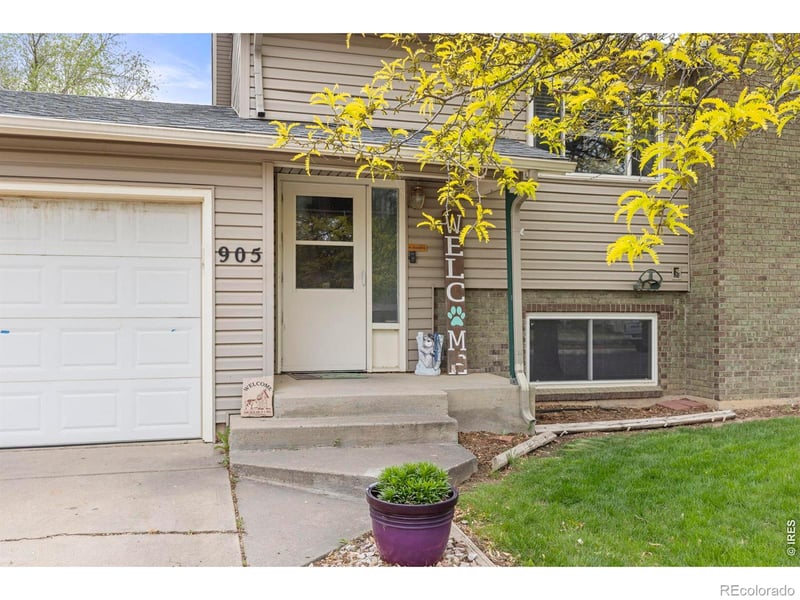 905 Woodbine Dr, Windsor, CO 80550