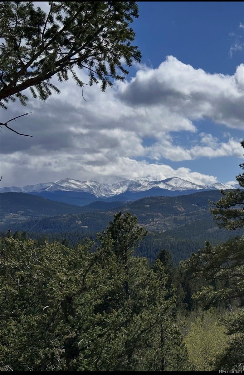 350 Foxtail Dr, Black Hawk, CO 80422