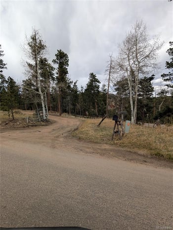 13108 Elsie Rd, Conifer, CO 80433