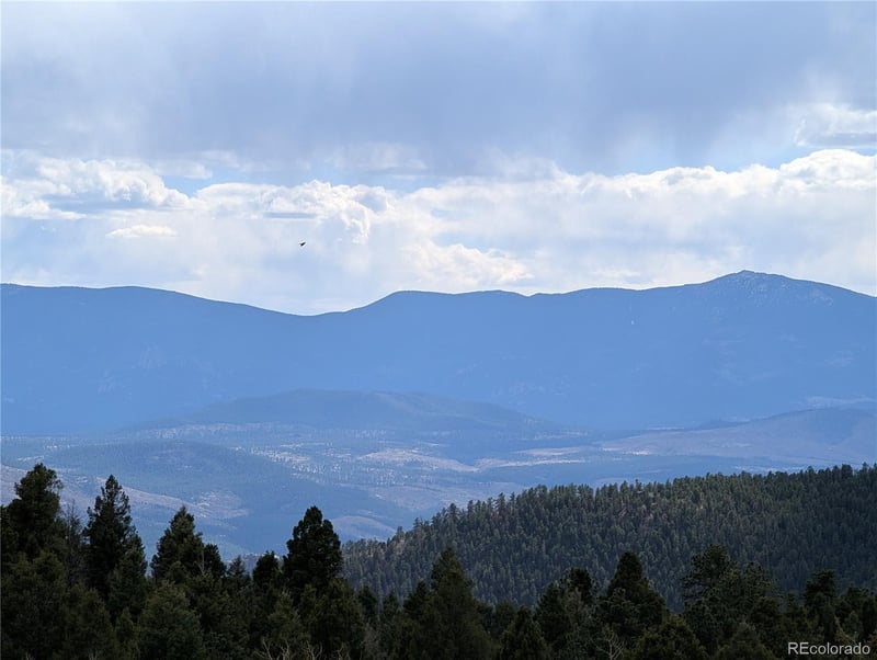 13108 Elsie Rd, Conifer, CO 80433