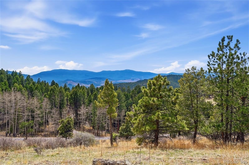 13108 Elsie Rd, Conifer, CO 80433