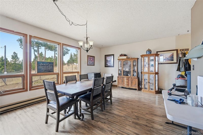 13108 Elsie Rd, Conifer, CO 80433
