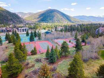 350 Tennis Club Rd #1311, Dillon, CO 80435