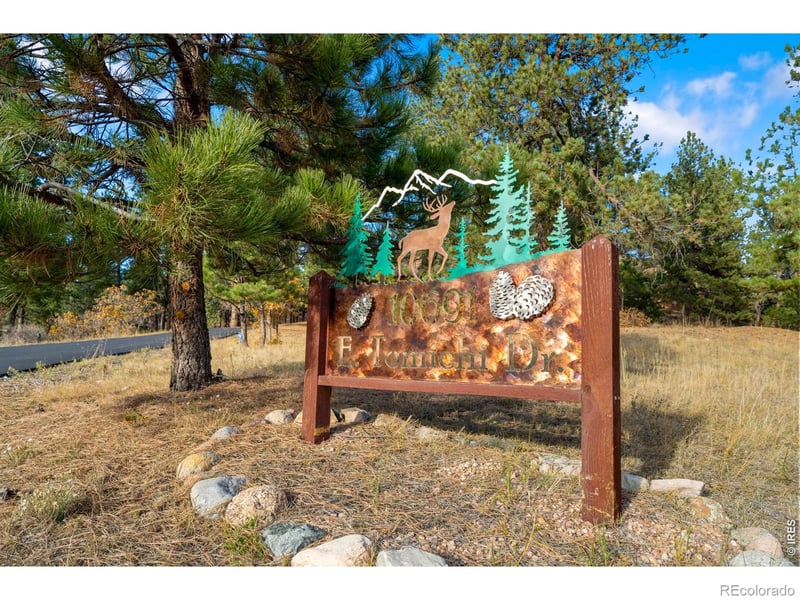 10691 Tomichi Dr, Franktown, CO 80116