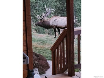 96 Lone Wolf Rd, Loveland, CO 80537