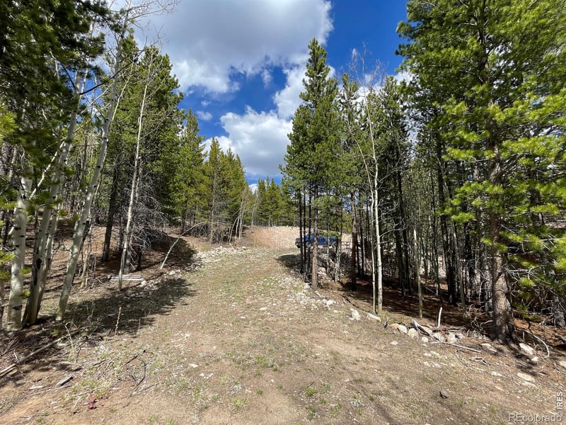 3105 Ottawa Way, Red Feather Lakes, CO 80545
