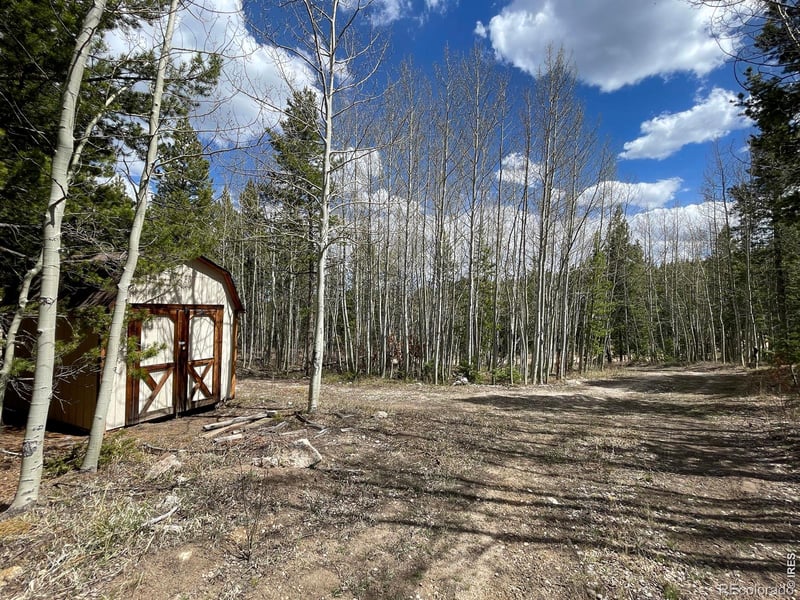 3105 Ottawa Way, Red Feather Lakes, CO 80545