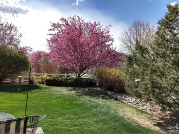 1044 Willow Creek Cir, Longmont, CO 80503