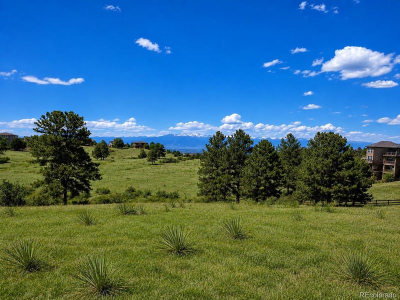 Forest Rim Rd, Aurora, CO 80016