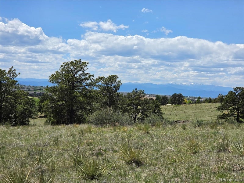 Forest Rim Rd, Aurora, CO 80016