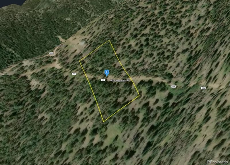 1520 Alps Mountain Rd, Idaho Springs, CO 80452