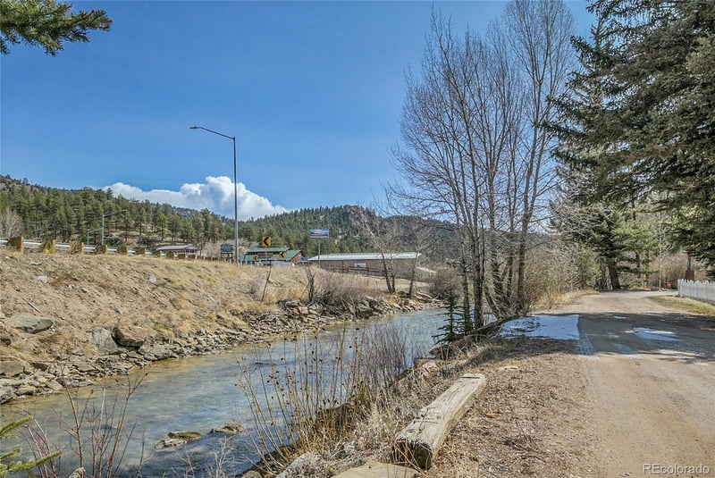 124 River Dr, Bailey, CO 80421