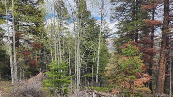 6338 Aragon Rd, San Luis, CO 81152