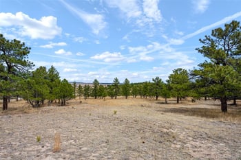 Parcel A County Road 77, Calhan, CO 80808