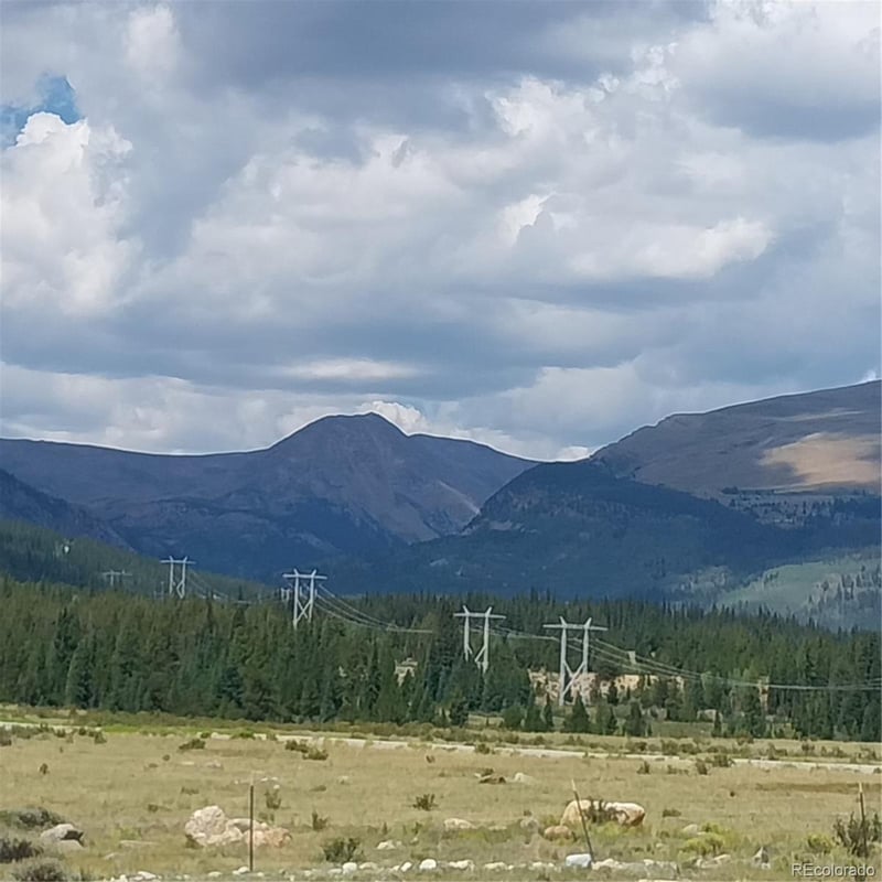 64 Glissade Trl, Alma, CO 80420