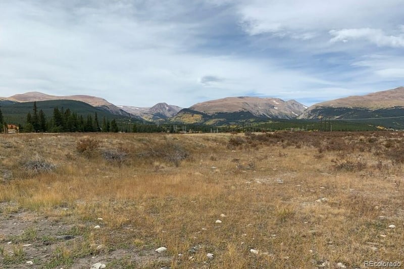 64 Glissade Trl, Alma, CO 80420