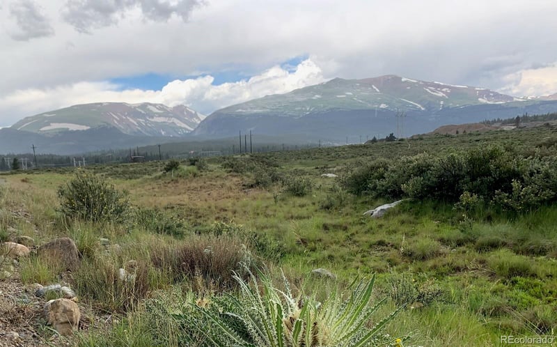 64 Glissade Trl, Alma, CO 80420