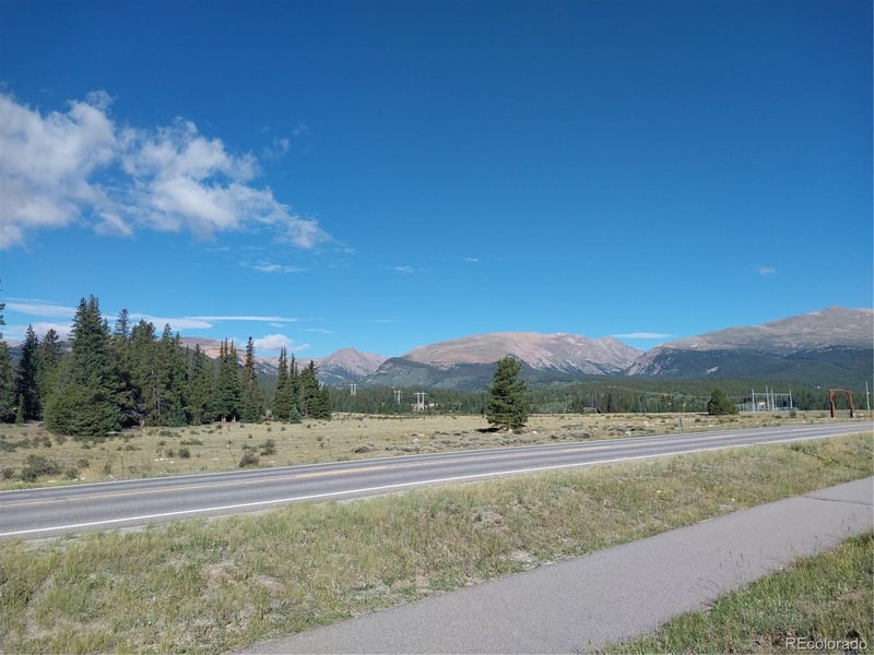 64 Glissade Trl, Alma, CO 80420