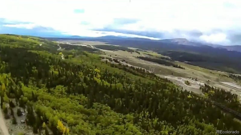 64 Glissade Trl, Alma, CO 80420