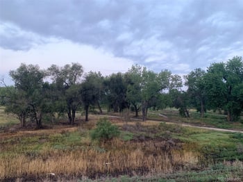 905 Damson St, Pueblo, CO 81001