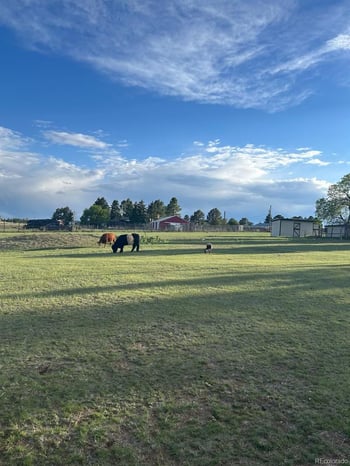 9270 Inspiration Dr, Parker, CO 80138