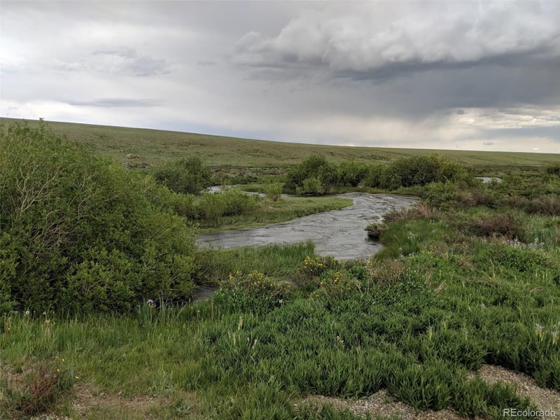 1500 Lakeview Rd, Fairplay, CO 80440