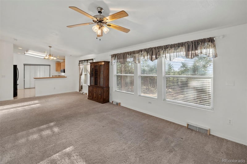 46 Kingston Cir, Florissant, CO 80816