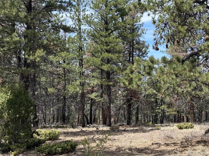 Lot 152 Tahmoush Ln Lot 152, Fort Garland, CO 81133