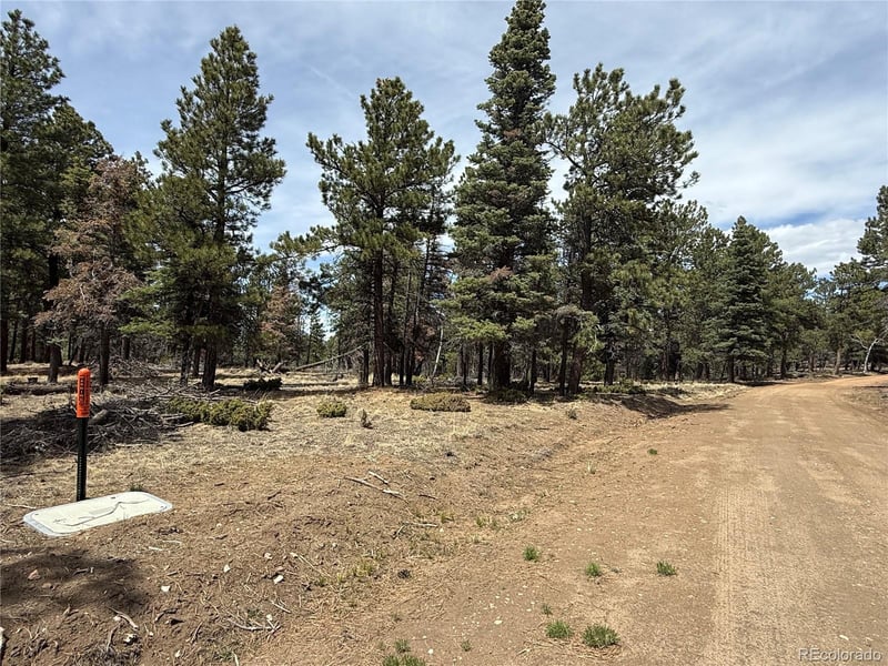 Lot 152 Tahmoush Ln Lot 152, Fort Garland, CO 81133